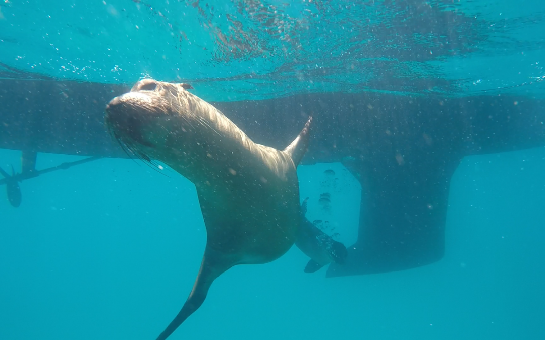 Our days in Galapagos islands (GR)