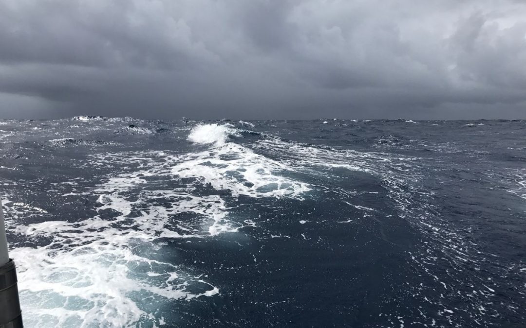 43 DAYS 7-9 Sailing from Galapagos to Marquesas