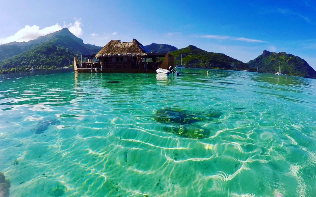 Sailing in Huahine