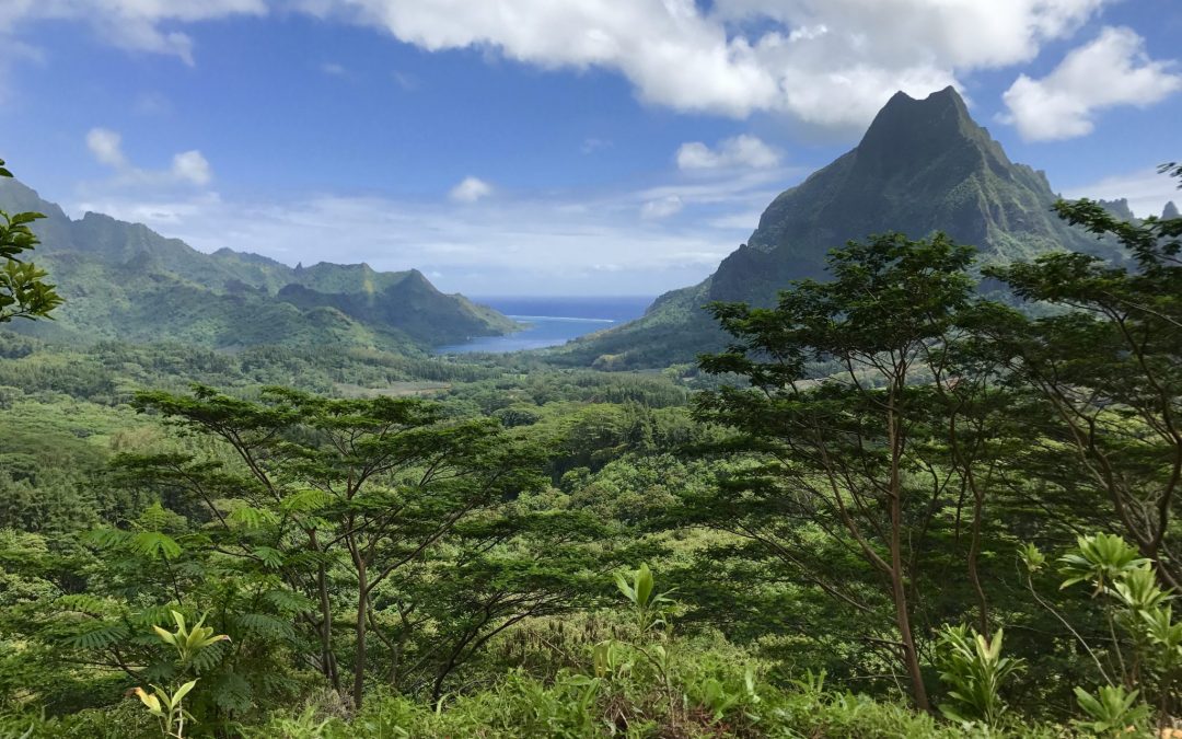 59 New Season in French Polynesia