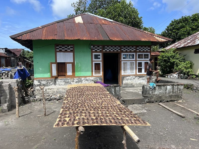 FISH TO DRY